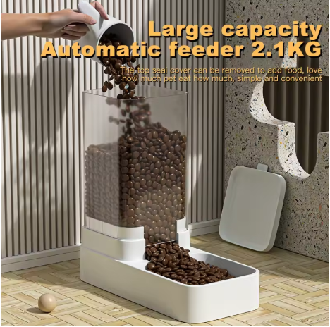 Automatic Cat Feeder & Water